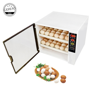 <span class=keywords><strong>Mini</strong></span> Incubadora de Huevos para 60 Aves de Corral, Precio de Venta en Zimbabue - Product Image 4