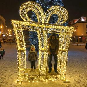 Iluminación LED Navideña para Exteriores Suministrada por Fábrica, Caja de Regalo Decorativa con Arco, Clasificación IP65 - Product Image 1