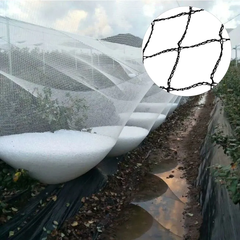 Persediaan pabrik Anti hujan es 100 HDPE Virgin kualitas tinggi pohon apel putih jaring pertanian anti-hujan es
