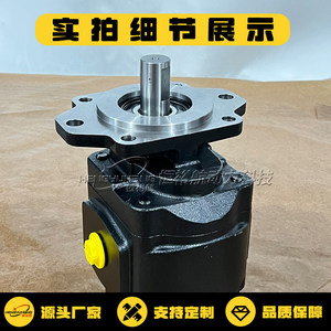 Moteur hydraulique de type engrenage Casappa Km40.133b0 34s8 Lof Of N Pompe rotative en fonte - Product Image 4