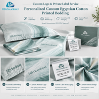 Ensemble de literie en coton égyptien imprimé ultra-doux, hypoallergénique, 400TC, certifié BSCI et ISO9001, moderne, Cloudland