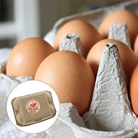 Autocollant personnalisé avec logo, étiquette ronde pour carton d'œufs frais de la ferme, étiquette adhésive imperméable pour emballage, étiquette pour pot à épices, autocollant en vinyle fait main