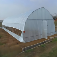 Enkelspan tunnelkas met PC-platen afdekking, grote maat, zandpreventie ontwerp voor watermeloenkweek in woestijngebieden