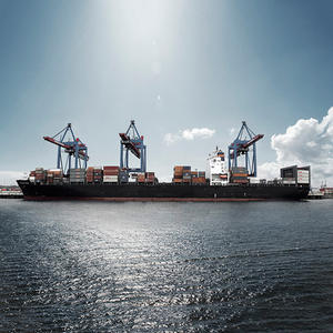 شحن بحري احترافي من الباب إلى الباب من الصين إلى هيوستن مع توصيل سريع ودعم على مدار الساعة طوال أيام الأسبوع (DDU/DDP) - Product Image 2