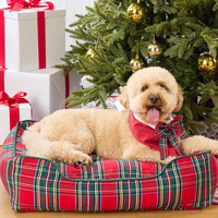 Großhandel Weihnachten Mehrfarbiges Bedrucktes Weiches Quadratisches Hundebett Bessere Flauschige Füllung Rutschfester Boden Indoor-Hundebett