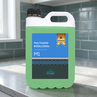 Pembersih Serbaguna Hidroalkohol M1 5L - HACCP Vinfer Produsen Profesional Spanyol Grosir OEM Label Pribadi