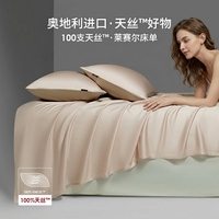 Vente en gros de linge de lit 100% Lyocell, ensemble de 4 pièces, luxe hôtelier 5 étoiles, ensemble de draps et de housse de couette, logo personnalisé