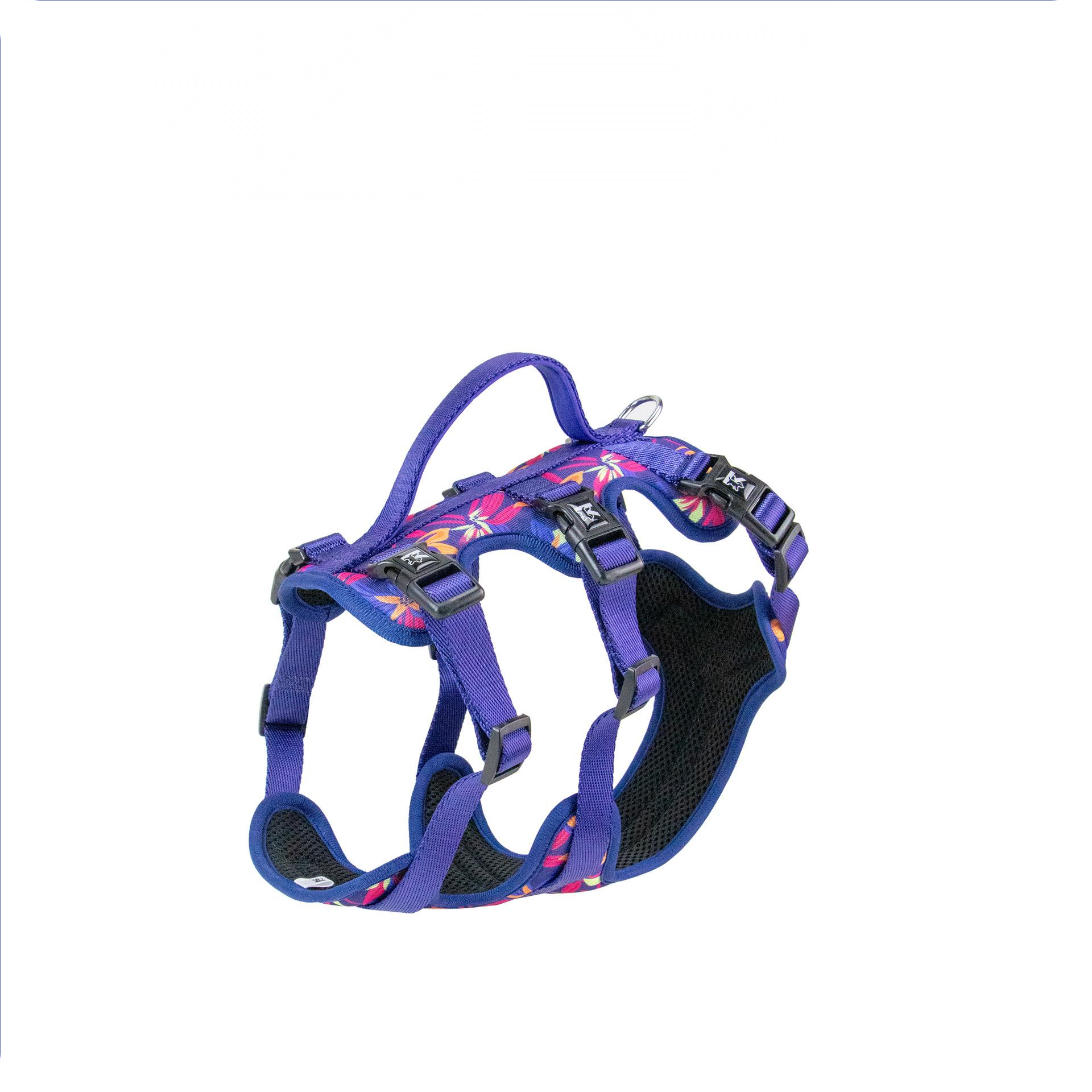 Flower butterfly neon