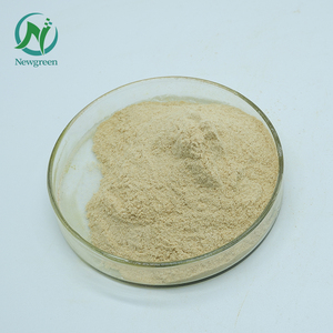 Newgreen Poudre de lutéoline naturelle pure Sophora Japonica Extrait 98% Lutéoline - Product Image 3