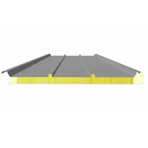 Le panneau de toit isolant spécial en polyuréthane pour le stockage au froid est facile à installer