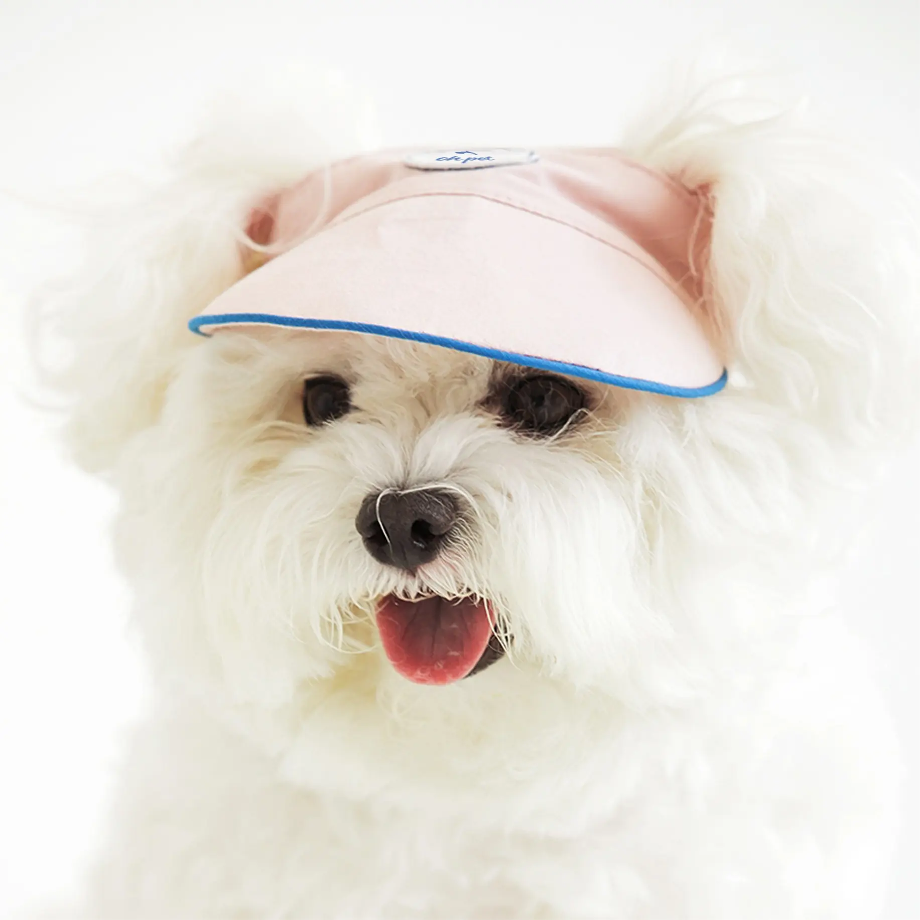 Chapeaux de baseball réglables en coton pour chien, Logo personnalisé d'usine avec trous d'oreille, accessoires pour animaux de compagnie, couvre-chef pour animaux de compagnie