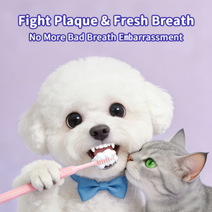 <span class=keywords><strong>Pasta</strong></span> <span class=keywords><strong>Dental</strong></span> Enzimática para Mascotas, Personalizada, para Gatos y Perros, <span class=keywords><strong>Sin</strong></span> <span class=keywords><strong>Sabor</strong></span>, No Tóxica, Fórmula Saludable, Cuidado <span class=keywords><strong>Dental</strong></span> para Dientes Sensibles - Product Image 4