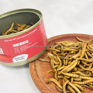 La Comida para Mascotas Más Saludable y Segura, Gusanos de Harina Frescos y Ecológicos para Nutrir Ranas, Atrapantes y Aves - Product Image 2