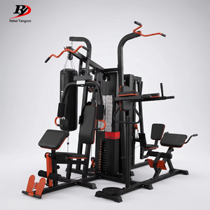 Gimnasio Doméstico Multifuncional Integrado con Saco de Boxeo y Doble Torre de Pesas para Entrenamiento de Fuerza Profesional CE YR-H042 - Product Image 1