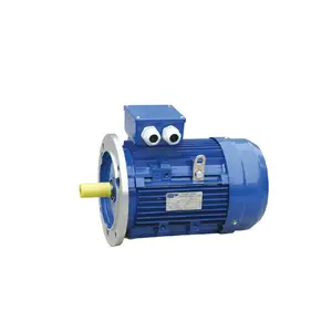 Động Cơ Điện AC Động Cơ Điện Ac Động Cơ Cảm Ứng 200kw Cho Máy Phát Điện Hydro Turbo