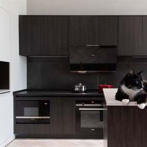 Muebles para el Hogar de Diseño Simple, Muebles Completos para Cocina, Gabinete Decorativo de Alto Brillo - Product Image 4