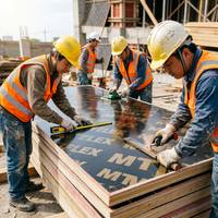 Contreplaqué anti-moisissure filmé de peuplier adapté aux travaux de construction en zone côtière pluvieuse