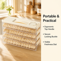 Boîte à raviolis portable économique pour rangement latéral de réfrigérateur/congélateur, en plastique alimentaire pour espaces étroits