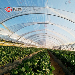แผ่นพลาสติกคลุมโรงเรือนเพาะปลูก ฟิล์มโพลีโอเลฟิน PO สำหรับการเกษตร - Product Image 2