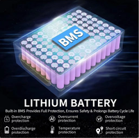 Batterie lithium-ion 48V 20Ah avec BMS intégré pour vélo électrique, scooter, tricycle électrique, batterie rechargeable pour vélo électrique
