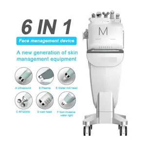 6 in 1 거품 h2o2 얼굴 기계 2024 hydrodermabrasion 기계 없음 바늘 mesotherapy electroporation