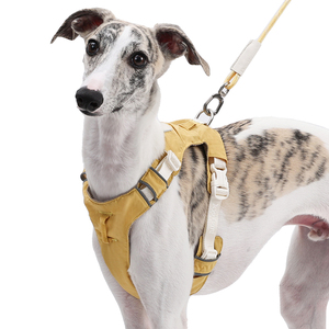 Harnais pour chien en maille douce Design <span class=keywords><strong>de</strong></span> mode mignon personnalisé grandes et tailles XS Harnais pour <span class=keywords><strong>animaux</strong></span> <span class=keywords><strong>de</strong></span> <span class=keywords><strong>compagnie</strong></span> en nylon confortable et résistant pour la marche - Product Image 4