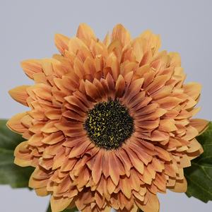 زهور عباد الشمس الاصطناعية ذات البتلات المزدوجة من الحرير بطول 63 سم، واقعية ومصنوعة يدويًا بجودة عالية، مجموعة حديثة من 5 قطع بلون أخضر زاهي - Product Image 3