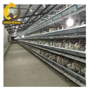 Jinmuren A type battery cages for layers egg laying