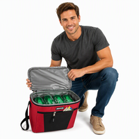 Sac isotherme de plage, de pique-nique, pour le vin, la bière, le lait maternel, le déjeuner, les aliments, les voyages, avec logo personnalisé, imperméable, doux et isolé