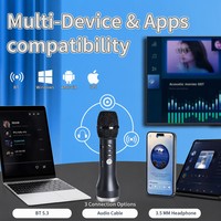 Microphone dynamique sans fil d'usine ODM, système de haut-parleur karaoké, machine OEM, changeur de voix