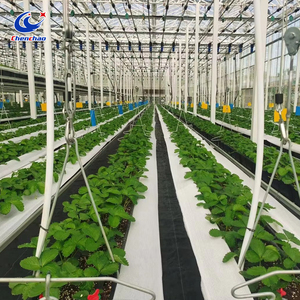 Gouttière de culture hydroponique surélevée et relevable, bac de culture de plantes, système de culture verticale de <span class=keywords><strong>fraises</strong></span> <span class=keywords><strong>en</strong></span> gouttière - Product Image 2
