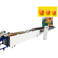 Aardappelen Knoflook Kersen Pruimen Dadels Cashewnoten Ananas Sorteermachine Sorteer- en sorteermachine voor groenten en fruit