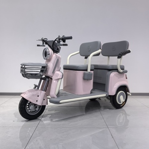 Nouveau Tricycle Électrique <span class=keywords><strong>Adulte</strong></span> Design 2025 Rose, Vélo à <span class=keywords><strong>3</strong></span> <span class=keywords><strong>Roues</strong></span> pour <span class=keywords><strong>Femme</strong></span>, Moto Électrique de Loisirs, Vélo Électrique Abordable (Batterie Exclue) - Product Image 1