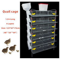 Cage à cailles portable galvanisée de type H à 6 niveaux avec bac à fumier, mangeoire et abreuvoir pour l'élevage des cailles