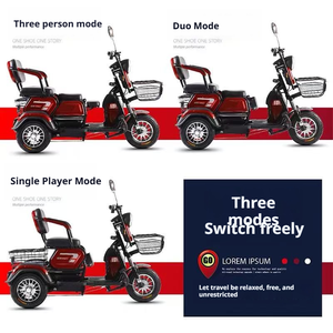 Tricycle pour seniors en promotion directe usine |   Ouvrir |   Moteur 600W-1000W |   Charge utile de 200-300 kg |   Conception stable |   pour - Product Image 4