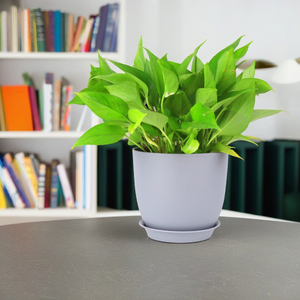 10 pouces moderne en plastique résine épaissie Pot de fleur maison pépinière jardin maisons décoratif-Design <span class=keywords><strong>prix</strong></span> de gros CM Carton taille - Product Image 4