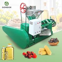 Zonnebloem Grootste Pers Pinda China Kokosnoot Koudpersmachine Zaad 6yl 100 Schroef Sesamolie Expeller voor Palm