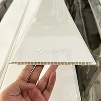 Plafond en PVC étanche en promotion au Liban – Plafonds tendus en PVC – Toiture en PVC