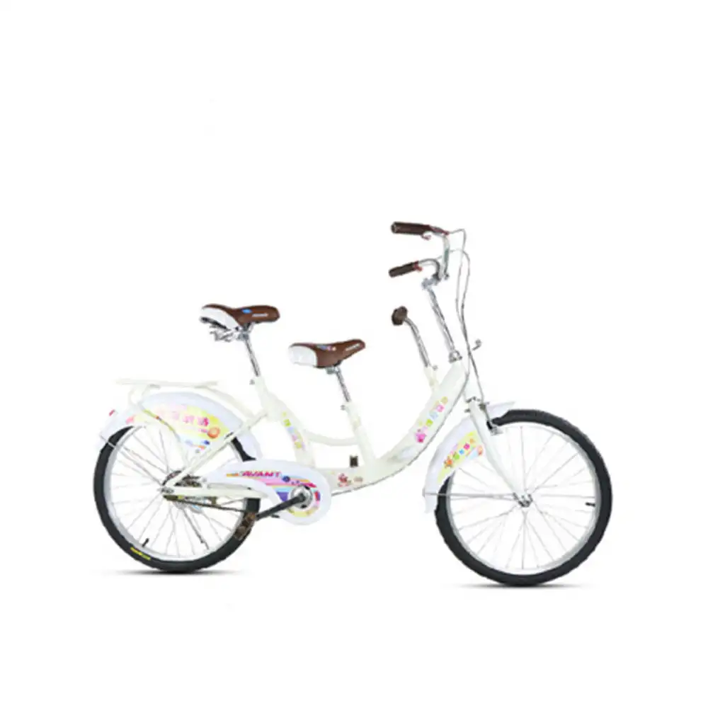 Heißer Verkauf Großhandels preis Surrey Bikes 2 Sitze 2 Personen Tandem Fahrrad zum Verkauf
