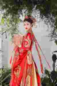 Lujoso gran trabajo pesado estilo <span class=keywords><strong>chino</strong></span> de las mujeres Phoenix bordado vestido de novia <span class=keywords><strong>chino</strong></span> - Product Image 3