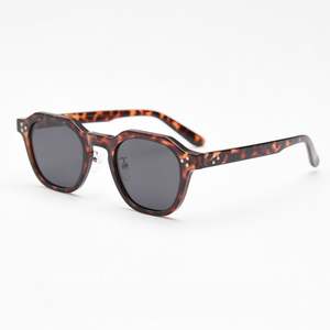 Vente en gros de lunettes de soleil polarisées rétro pour hommes et femmes avec logo personnalisé, monture TR90, UV400, monture petite, lunettes de soleil polygonales pour femmes - Product Image 5
