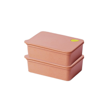 Boîte à lunch écologique en fibre de coque de riz à compartiment unique, comprenant un récipient alimentaire et un récipient en coque de riz, emballée en carton