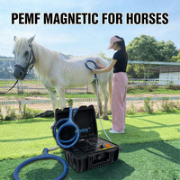 Appareil de massage PEMF Easy Take 5,5 kg pour réduire l'enflure des tissus, machine de massage PEMF pour animaux, utilisation à domicile pour les chevaux