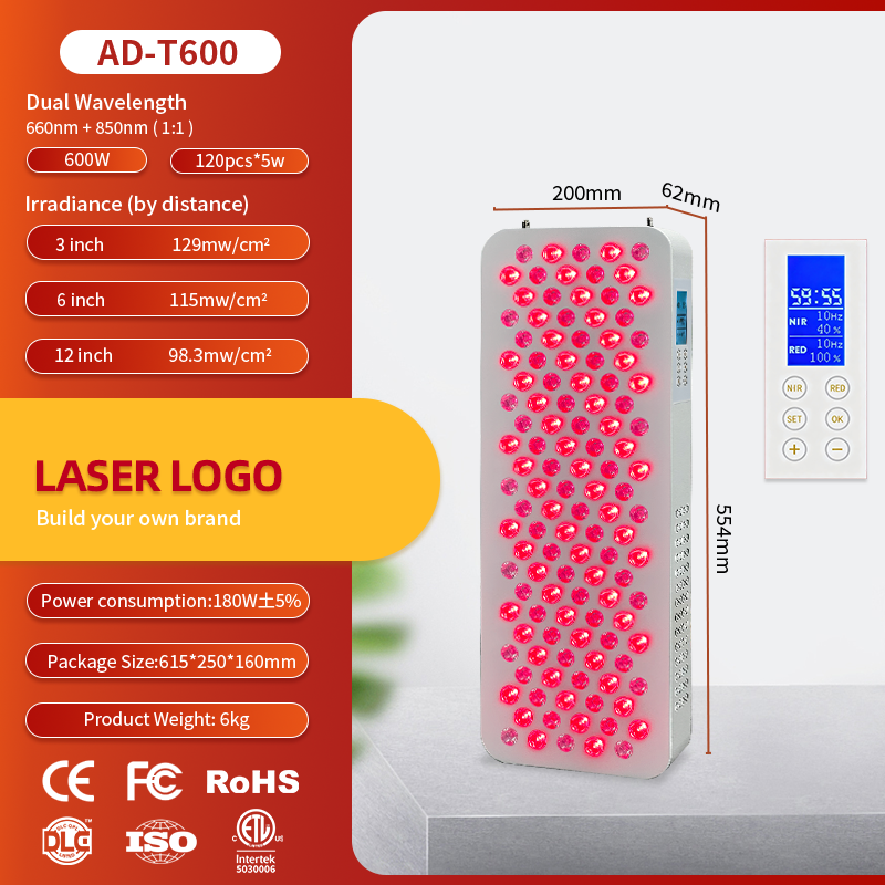 600W