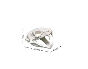 Casa Escondite con Forma de Cráneo para Reptiles, Cueva Decorativa Blanca para Terrario, para Mascotas Pequeñas y Reptiles - Product Image 5
