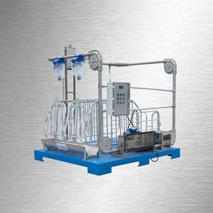 Nueva Jaula de Gestación para Cerdos HengYin, Popular, de Larga Duración, Acero Galvanizado en Caliente, Certificación CE ISO 9001, 1 Año de Garantía - Product Image 2