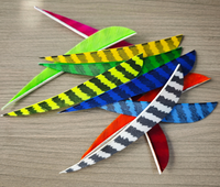 Plumes de dindon naturelles véritables pour le fletchage d'arrows de tir à l'arc, pour le bricolage, la chasse et le tir sur cible, accessoire d'arrow.