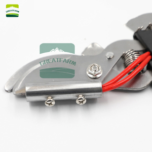 Ciseaux sans effusion <span class=keywords><strong>de</strong></span> sang pour instrument vétérinaire électrique en acier inoxydable avec pince chauffante pour couper la queue - Product Image 4