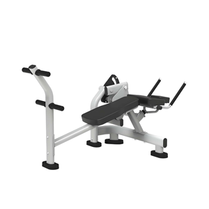 Appareil de musculation abdominale au design élégant, machine moderne pour le renforcement du tronc, idéale pour l'aménagement intérieur des clubs de fitness haut de gamme. - Product Image 1