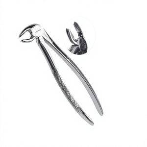 Forceps d'extraction dentaire en acier inoxydable de qualité supérieure pour molaires inférieures droites, modèle anglais, instrument chirurgical d'extraction - Product Image 1